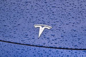 Steht Tesla im Regen? Die vergangenen Wochen waren turbulent für den Elektroauto-Vorreiter. - Foto: Patrick Pleul/dpa
