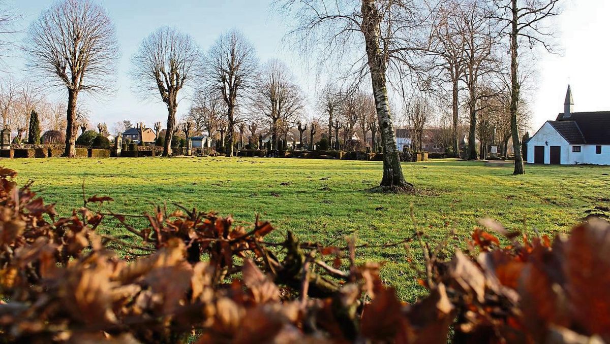 Auf dieser Fläche des Horner Friedhofs könnte es bald Baum-Bestattungen geben. Foto: Mintert