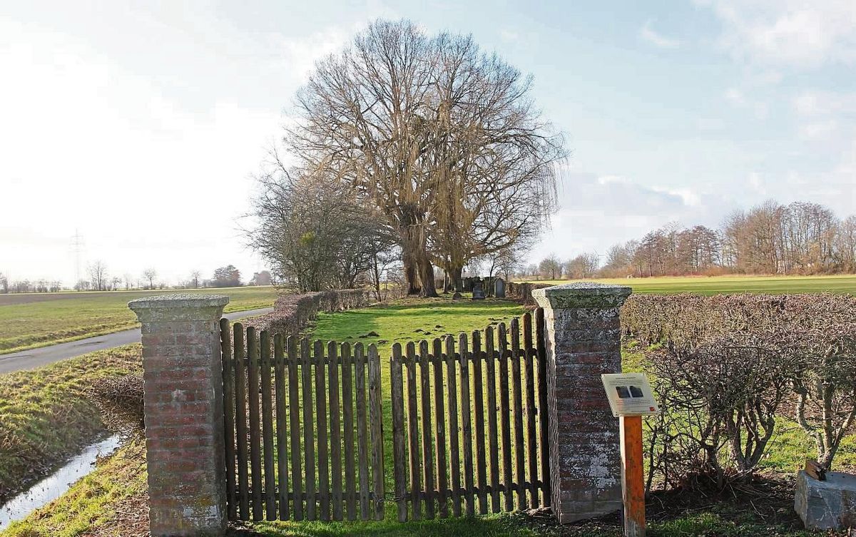 Der jüdische Friedhof in der südwestlichen Feldflur von Horn hält die ehemalige jüdische Bevölkerung des Ortes in Erinnerung. Mit den Stolpersteinen soll dies bald auch im Dorf selbst geschehen. Foto: Puls