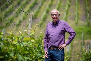 In den Weinbergen wächst ausschließlich Riesling. - Foto: Harald Tittel/dpa
