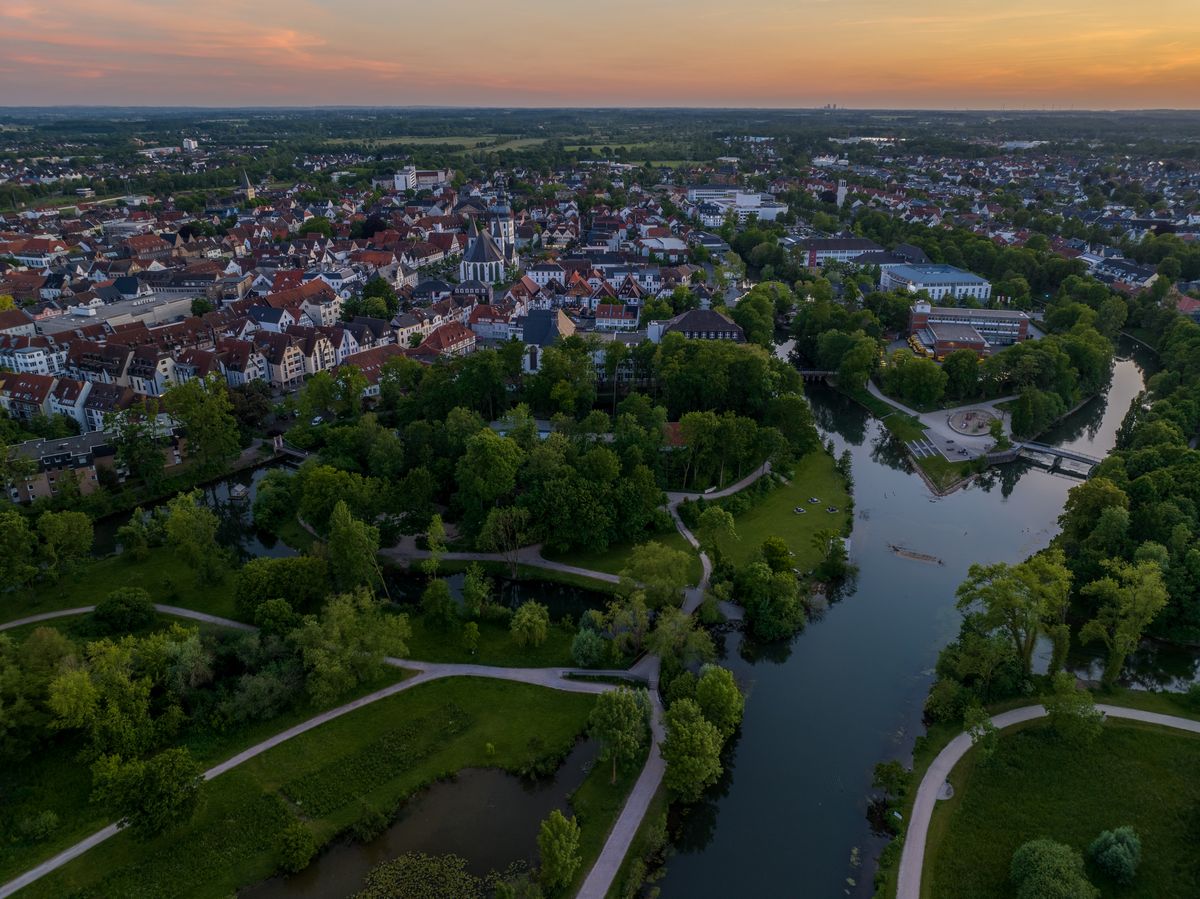 Im Grünen Winkel in Lippstadt ist der giftige Gemeine Stechapfel aufgetaucht. Die Stadt reagierte sofort: Fachkräfte entfernten die Pflanzen noch am Mittwoch. Foto: Eickhoff