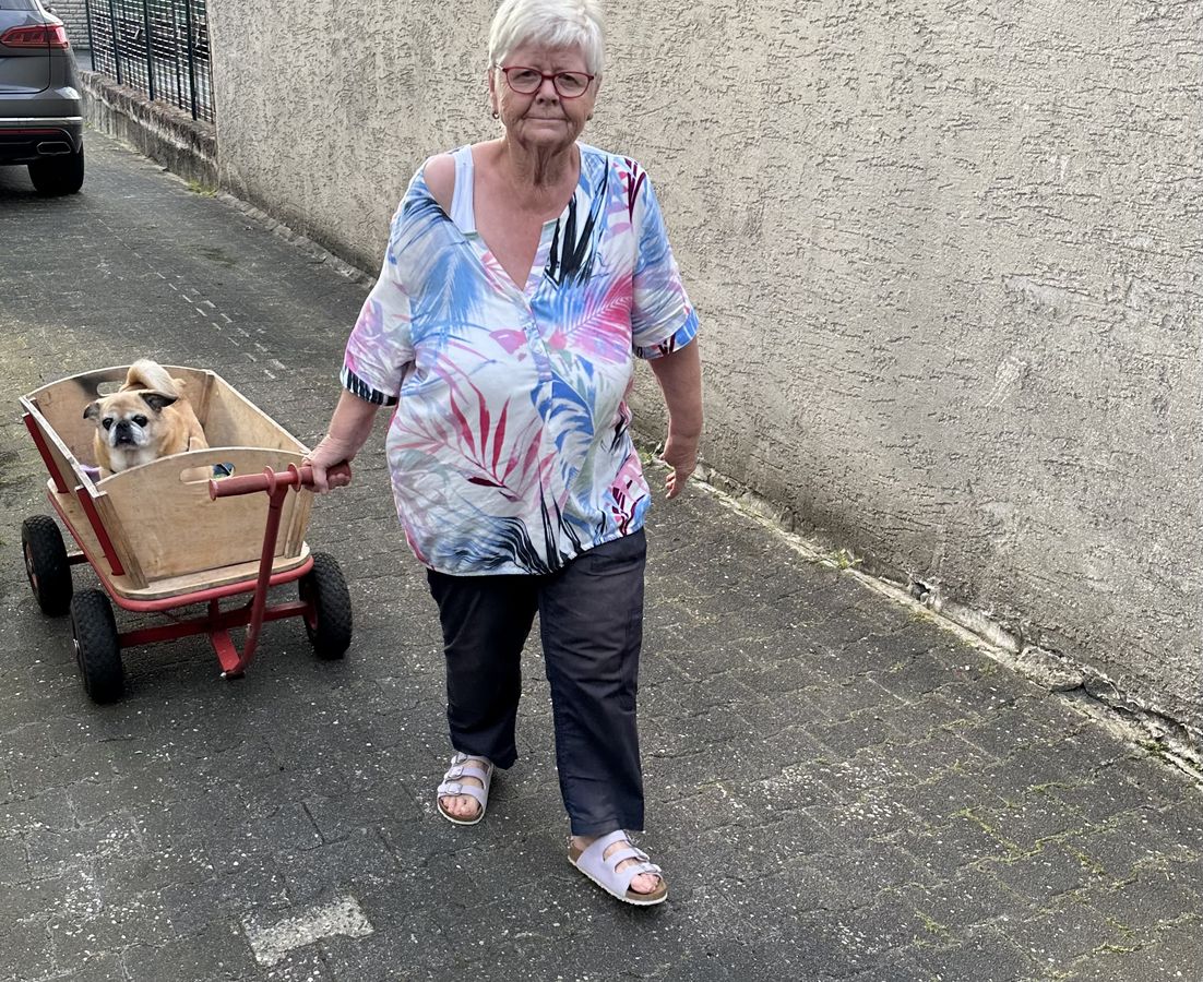 Der 14-jährige Mops Kira muss trotz seiner Arthrose nicht auf seinen Spaziergang verzichten. Viermal täglich macht es Elke, die Schwiegermutter der Fotografin dieses Bildes, Christine Ramm, möglich.
