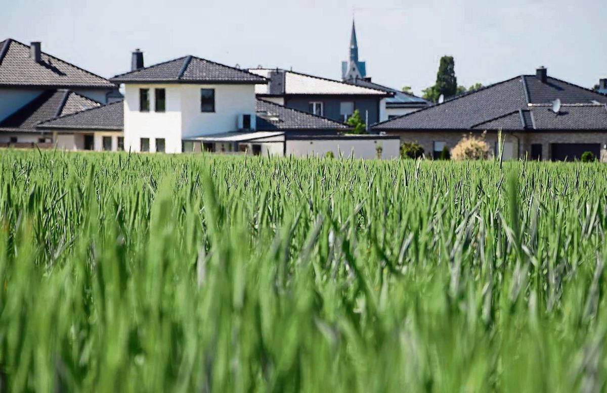 Noch wächst hier Getreide, in einigen Jahren dürften an diesem Abschnitt des Isloher Wegs aber Wohnhäuser entstehen. Foto: Kossack