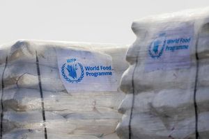 Humanitäre Hilfsgüter des Welternährungsprogramm der Vereinten Nationen am Grenzübergang Kerem Schalom zum Gazastreifen auf israelischer Seite. - Foto: Christoph Soeder/dpa-Pool/dpa