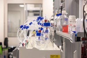 Tüffteln im Labor: Die Chemie- und Pharmaindustrie gibt so viel für Forschung aus wie nie zuvor (Archivbild) - Foto: Helmut Fricke/dpa