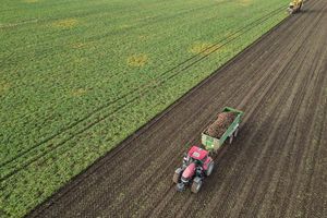 Die Preise für viele Agrarprodukte sind derzeit unter Druck. (Archivbild) - Foto: Jan Woitas/dpa