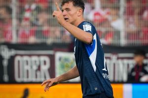In Topform gegen seinen Ex-Club: Hoffenheims Fisnik Asllani. - Foto: Soeren Stache/dpa