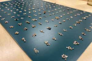 Die Rohdiamanten wurden bei der Einreise entdeckt. (Handout) - Foto: -/Zollfahndungsamt Frankfurt am Main/dpa