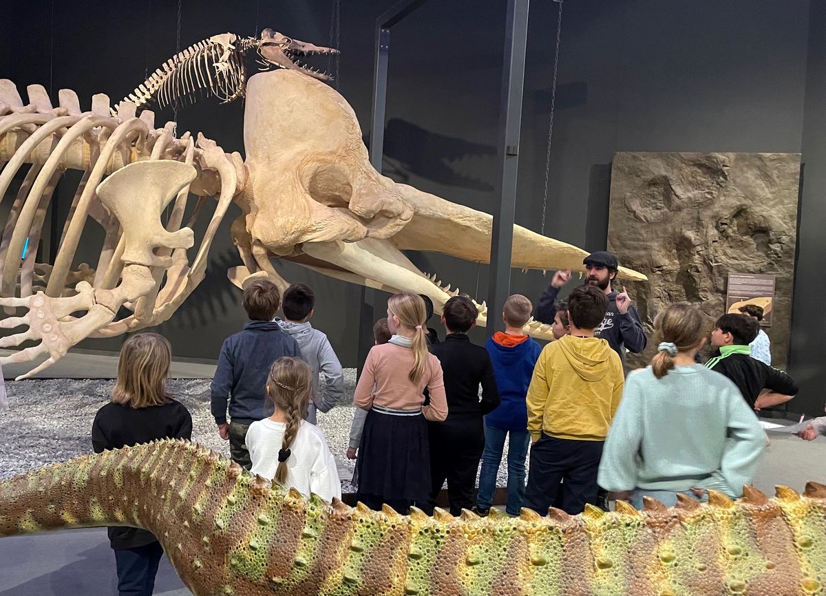 Die Klasse 4a der Grundschule St. Marien in Geseke beim Besuch des LWL-Museums in Münster Foto: St. Marien