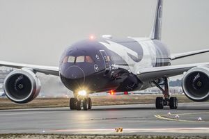Die Lufthansa schickt zum 100. Jahrestag sechs Jets in einer Sonderlackierung auf die Strecke. - Foto: Andreas Arnold/dpa