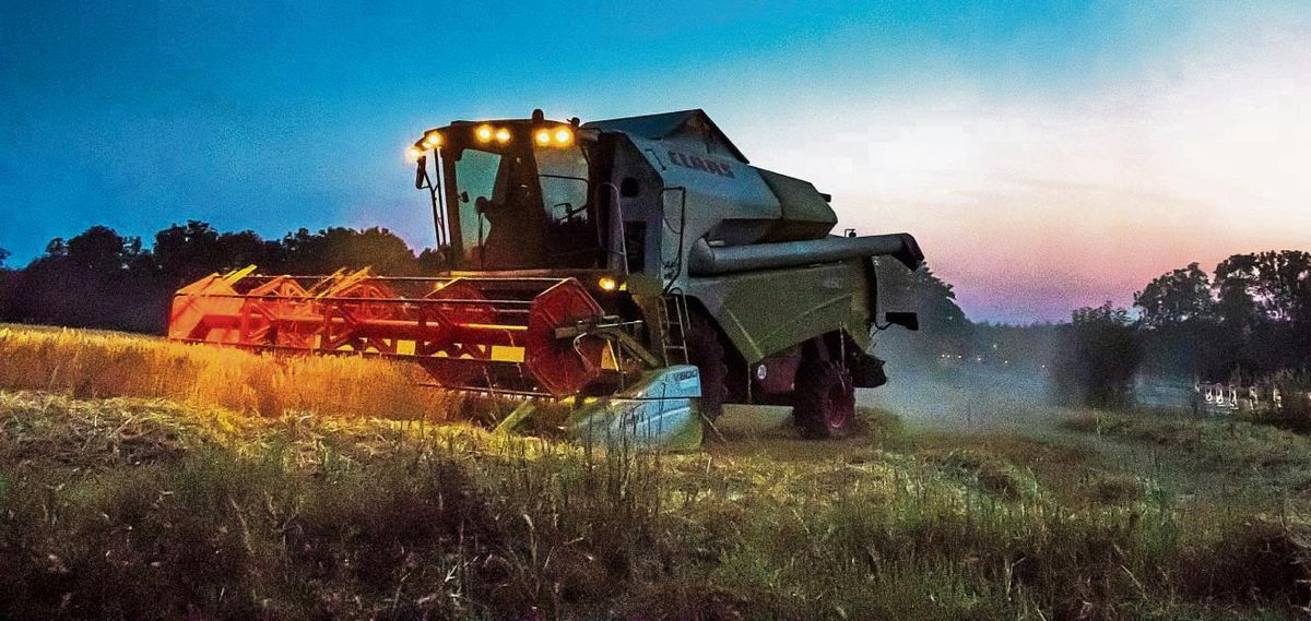Eine solide Ernte haben die Landwirte im Kreis 2025 eingefahren. Doch Sorgen um Preise drücken die Stimmung. Foto: Björn Winkelmann
