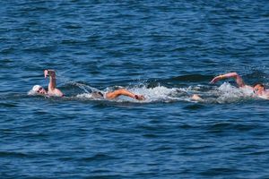 Florian Wellbrock hat seinen zweiten WM-Titel im Freiwasser in Singapur gewonnen. - Foto: Vincent Thian/AP/dpa