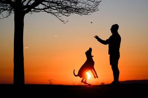 Hund statt Kind? Ganz so einfach ist es nicht. - Foto: Julian Stratenschulte/dpa