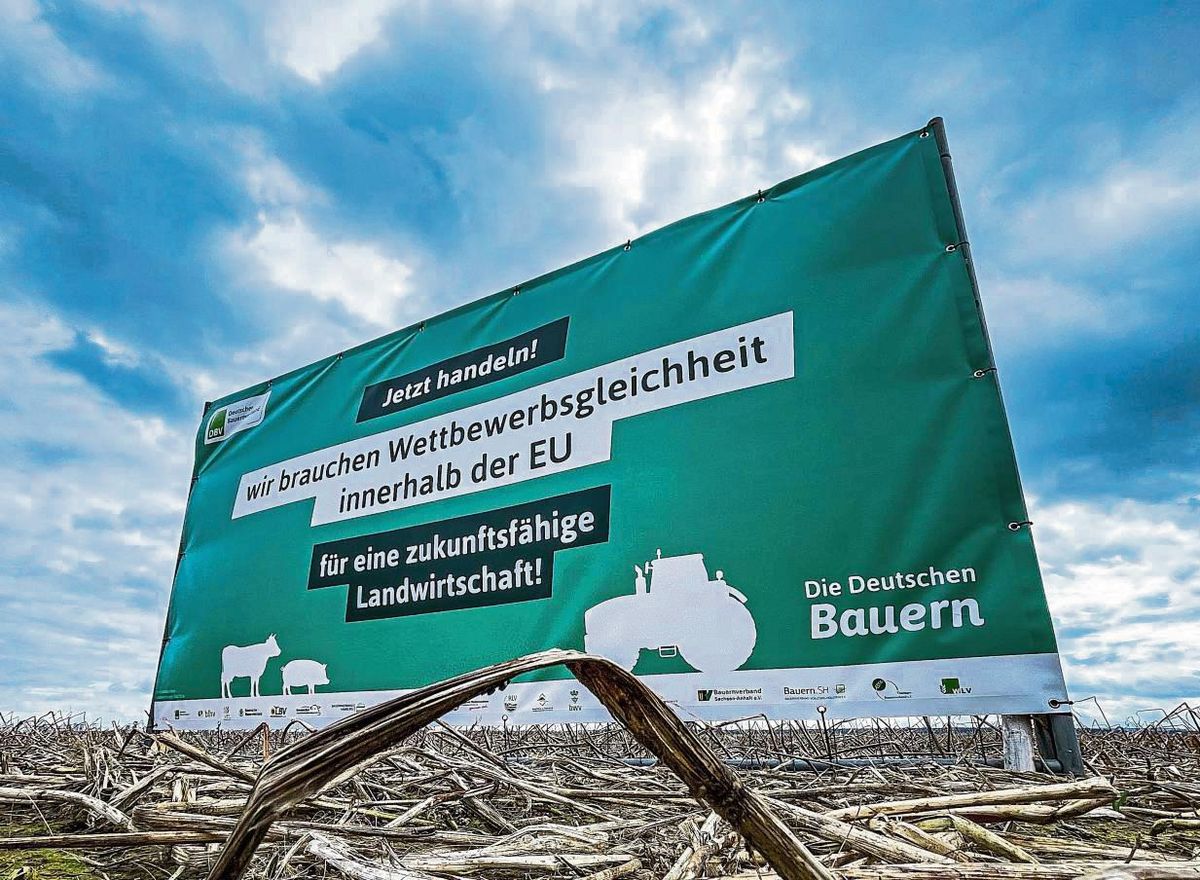 Die heimischen Bauernfamilien machen aktuell mit Bannern auf ihre dringenden politischen Anliegen aufmerksam, wie hier zwischen Störmede und Langeneicke an der B1. Foto: Winkelmann