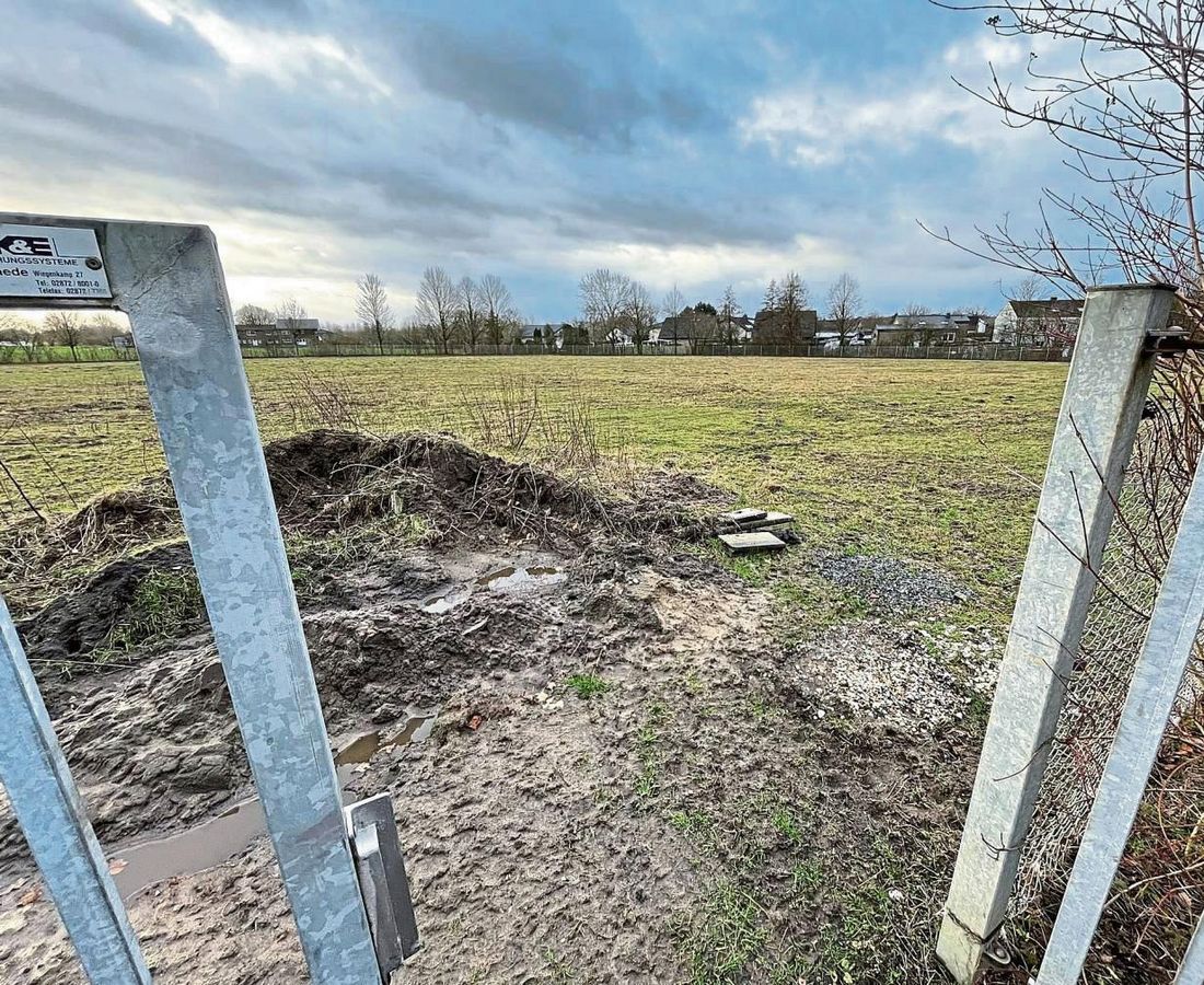 Perfekt für eine Hundewiese geeignet, meint Lothar Mettner: Die Fläche an der Straße Auf dem Knappe, die für die Erweiterung des Westfriedhofs vorgesehen war. Foto: Rückert
