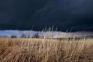 Gewitterwolken ziehen über ein Feld: Das Wetter am Abend ist durchwachsen. - Foto: Karl-Josef Hildenbrand/dpa