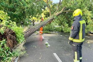 Am späten Nachmittag und Abend ziehen Unwetter über Teile Deutschlands. - Foto: Jens Dudziak/dpa
