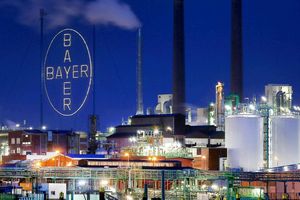 Bayer kämpft immer noch mit den Folgen der Monsanto-Übernahme von 2018. (Archivbild) - Foto: Oliver Berg/dpa