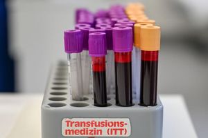 Eine Blutspende kann bis zu drei Menschen helfe (Symbolbild). - Foto: Jens Kalaene/dpa