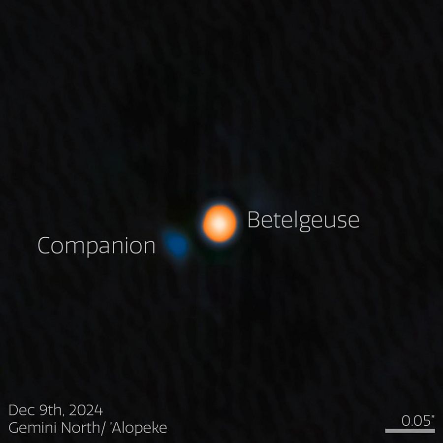 Astronomen haben wahrscheinlich einen Begleitstern von Beteigeuze (englisch: Betelgeuse) entdeckt. Der Begleitstern erscheint hier blau. - Foto: --/International Gemini Observatory/NOIRLab/NSF/AURA/dpa
