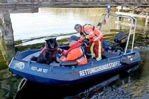 Spürhunde haben laut Polizei auf dem Inselsee am Stadtrand von Güstrow angeschlagen. Am Dienstagmorgen sollen Taucher in dem Bereich zum Einsatz kommen. - Foto: Bernd Wüstneck/dpa