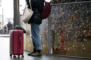 Bahn zufrieden: Über Weihnachten waren die Züge gut ausgelastet und ziemlich pünktlich. (Archivbild) - Foto: Markus Lenhardt/dpa