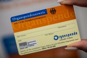 Ein Organspende-Ausweis dokumentiert die Entscheidung. (Archivbild) - Foto: Michael Kappeler/dpa
