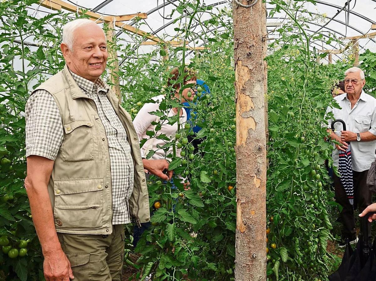 Neben Kartoffeln und Getreide baut Bio-Landwirt Gyso von Bonin (l.) auf dem Gut Eggeringhausen auch Tomaten an. Er beweise, dass Landwirtschaft auch ohne Pflanzenschutzmittel funktionieren kann. Archivfoto: Raestrup