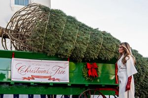 Melanie Trump nimmt den Weihnachtsbaum in Empfang. - Foto: Julia Demaree Nikhinson/AP/dpa