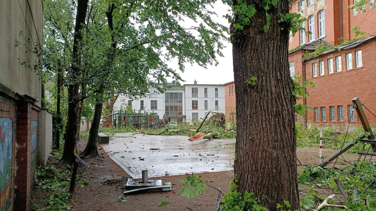 Verheerend sah es nach dem Tornado auch auf dem Schulgelände aus. Fotos: Friedrichschule