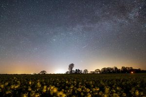 Der Sternenhimmel leuchtet über einem Rapsfeld. Auch im Mai lohnt sich ein Blick ins Firmament (Archivbild). - Foto: Daniel Reinhardt/dpa