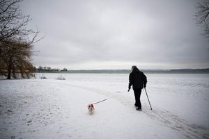 Im Norden bleibt es frostig. - Foto: Philip Dulian/dpa