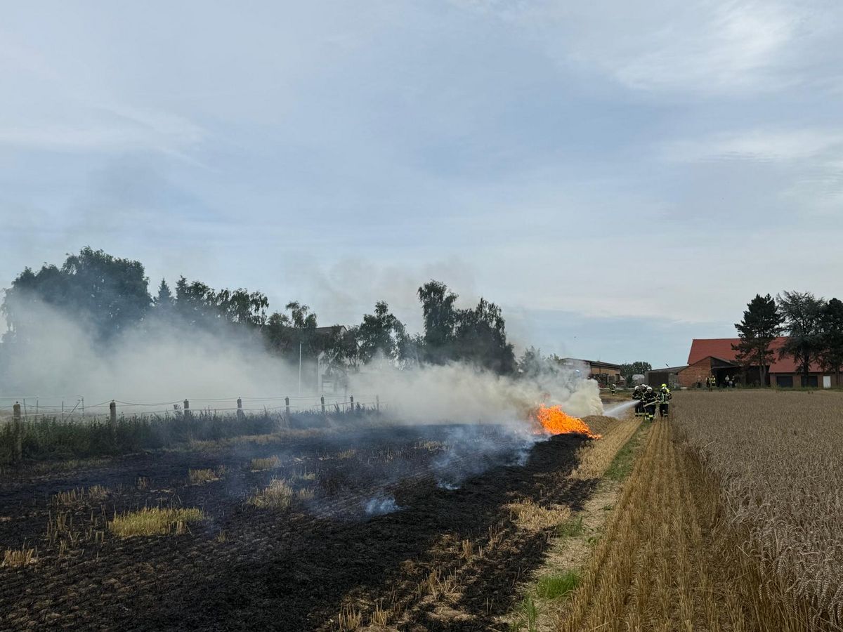 Auf einem Stoppelfeld in Geseke hat es auf einer Länge von 200 Metern gebrannt. Fotos: Feuerwehr Geseke