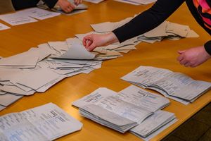 Wurde nach der Bundestagswahl richtig gezählt? Das BSW hat weiterhin Zweifel. - Foto: Patrick Pleul/dpa