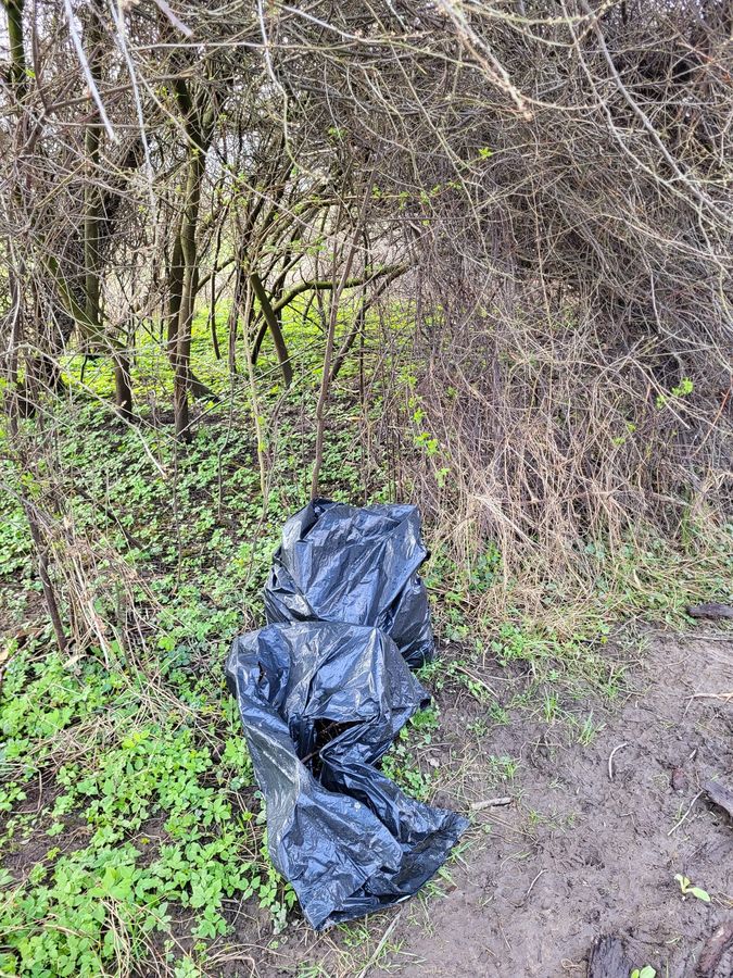 Plastik, Metall und Glas: Illegale Müllkippe entdeckt im Stadtwald. Foto: Anja Mickler, Lukas Dittmar