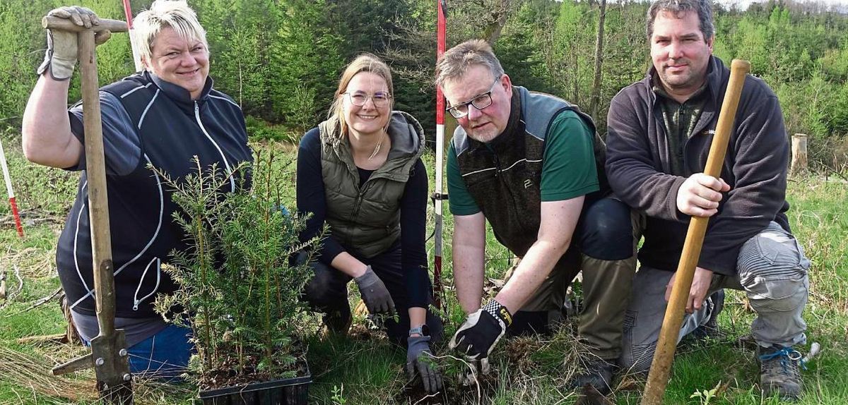 Eifrig pflanzten (v.l.) Manuela Meschede, Hanna Hüske (beide Förderverein Zukunftswald), Udo Häger und Christoph Mause (beide Bürgerwald Brilon) an der Grenze zwischen Rüthen, Kallenhardt, Scharfenberg und Brilon. Fotos: Kloer