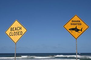 Die Strände in der Region wurden zunächst gesperrt. (Symbolbild) - Foto: Dean Lewins/AAP/dpa