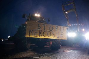 Landwirte befürchten unverhältnismäßige Konkurrenz durch günstige Importe aus Südamerika. - Foto: Philip Dulian/dpa
