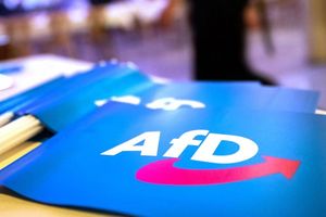 Die AfD liegt Umfragedaten von Forsa zufolge mit 14 Prozent der Stimmen bei den unter 30-Jährigen auf Platz drei hinter den Grünen und CDU/CSU. - Foto: Daniel Karmann/dpa
