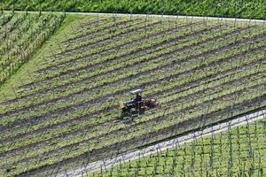 Ein Winzer bearbeitet in einem Weinberg in Stuttgart mit einem Traktor den Boden. Nach Frostnächten fürchten Winzer und Obstbauern Ernteausfälle. - Foto: Bernd Weißbrod/dpa