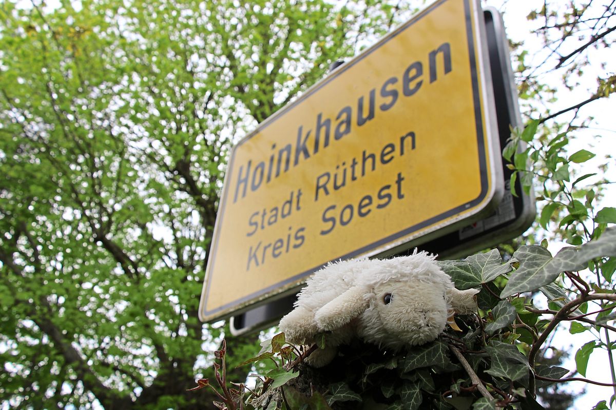 in Hoinkhausen fielen nicht dem Wolf zum Opfer. Foto: Löseke