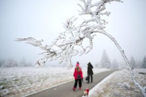 Schnee zu Weihnachten wird es nur vereinzelt geben. - Foto: Bernd Thissen/dpa