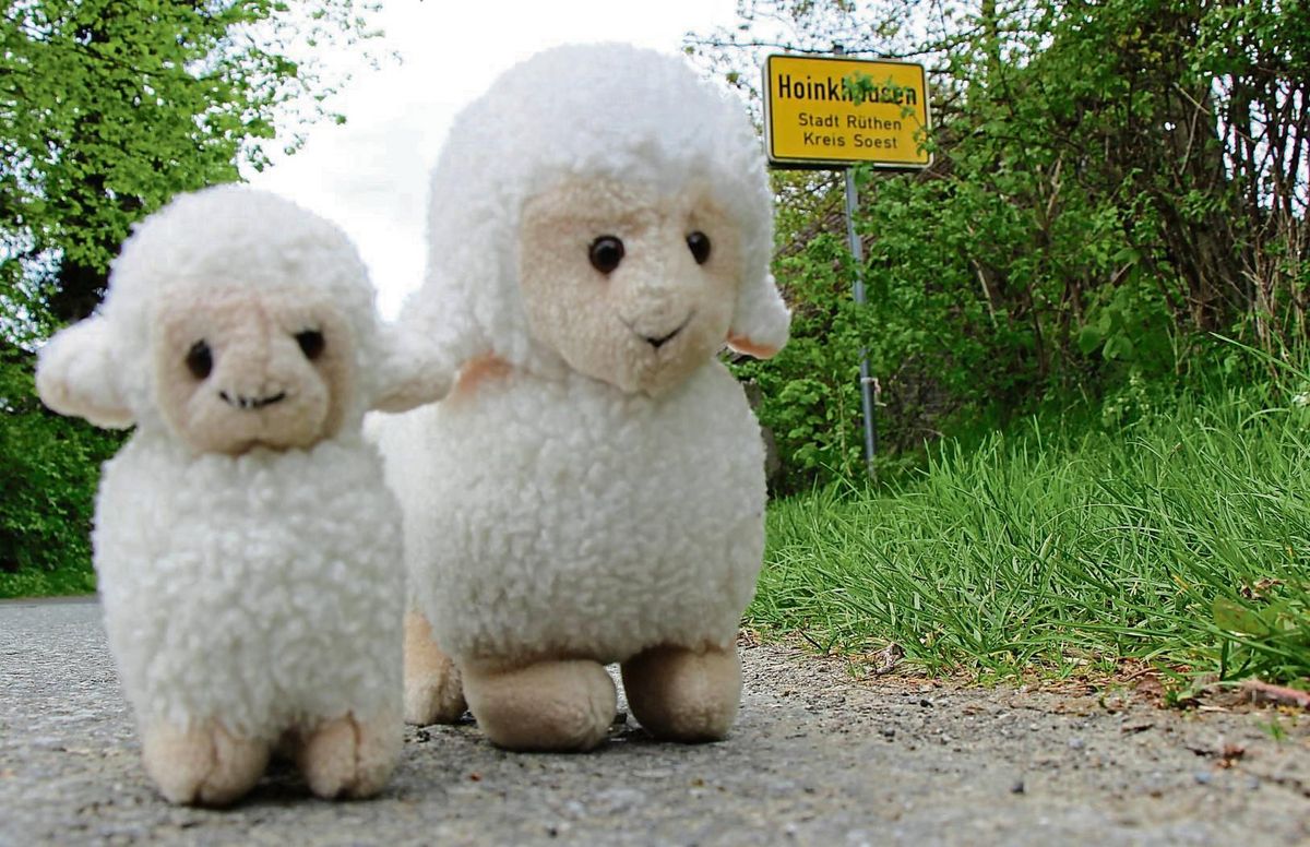 Sind Schafe und Lämmer, aber auch Kälber, Ponys, Fohlen, Pferde und Co. in Hoinkhausen nicht mehr sicher? Das Dorf ist besorgt. Foto: Löseke