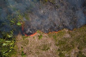 Flammen breiten sich in einem Amazonas-Gebiet aus. (Archivbild) - Foto: Fernando Souza/ZUMA Press Wire/dpa