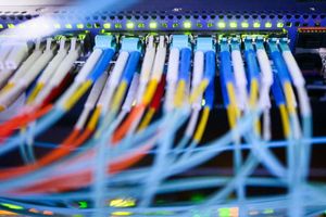 Was würde passieren, wenn von der AfD eingesetzte Beamte auf sicherheitsrelevante Daten zugreifen könnten, fragen sich Innenpolitiker anderer Parteien. (Symbolbild) - Foto: Julian Stratenschulte/dpa