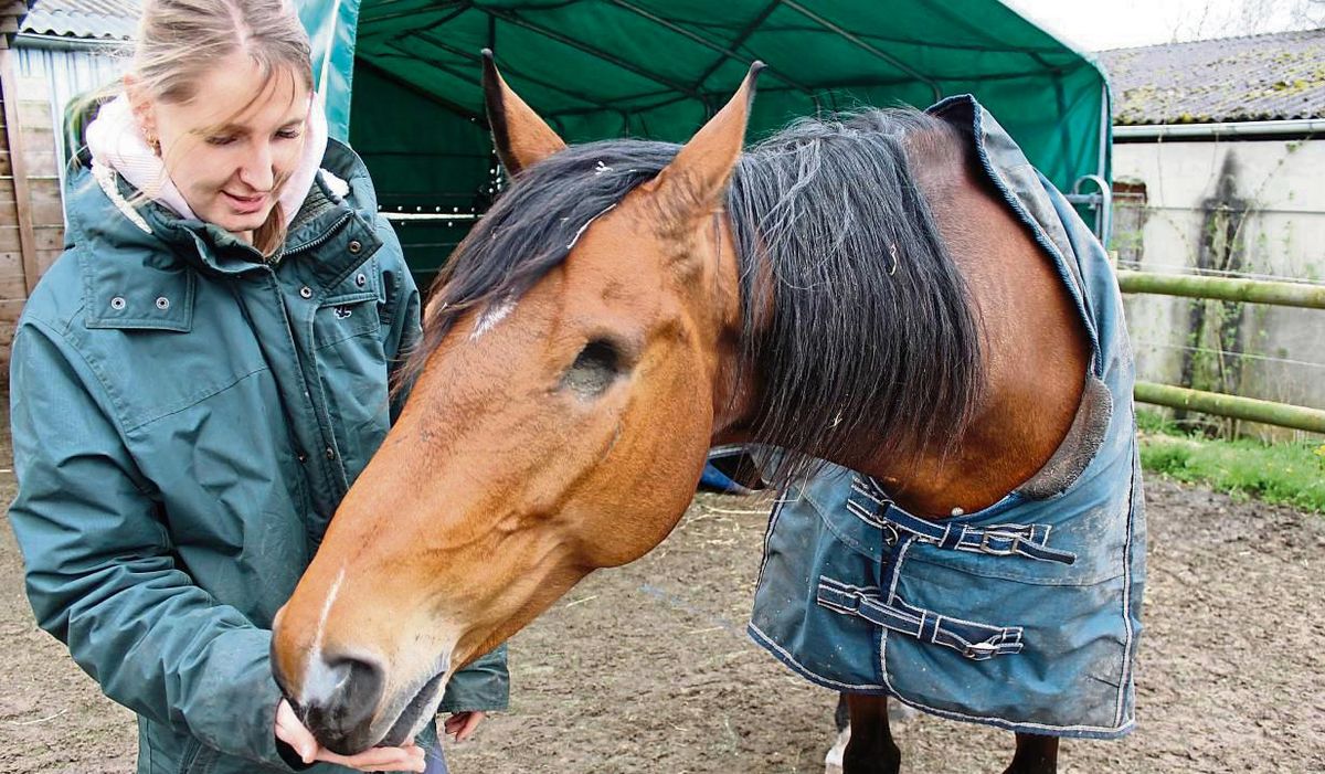 Sophie Kleinschnittger stellt Libby vor: Sie hat nur noch ein Auge und kann auch nicht geritten werden. Foto: Mintert