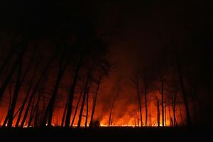 Seit dem Ausbruch des Waldbrandes in New Jersey am Dienstagmorgen breiten sich die Flammen schnell aus. - Foto: Chris Szagola/AP/dpa