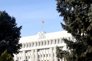 In Kirgistan wird an diesem Sonntag ein neues Parlament gewählt. - Foto: André Ballin/dpa