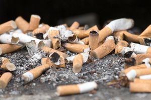 Billionen von Zigarettenkippen landen jedes Jahr in der Umwelt. (Symbolbild) - Foto: Ralf Hirschberger/dpa-Zentralbild/dpa