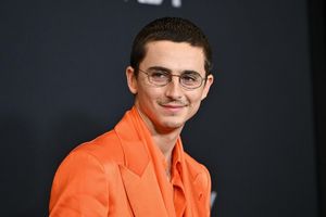 Timothée Chalamet bei der Premiere seines neuen Films "Marty Supreme". - Foto: Evan Agostini/Invision/AP/dpa
